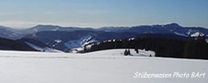 St&uuml;benwasen