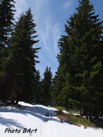 Chemin_tb