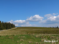 St&uuml;benwasen_ete_tb